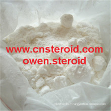 Factory Direct Sell Stéroïde anabolisant DHEA Epiandrosterone CAS 481-29-8
